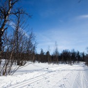 Sportlov i Orsa grönklitt